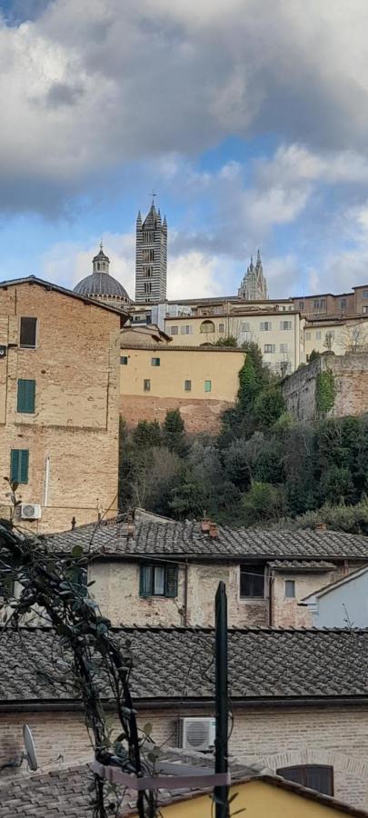 Appartamento A Due Passi Da Piazza Del Campo 锡耶纳 外观 照片